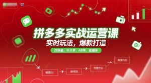 拼多多实战运营课,实时玩法,爆款打造,改销量,补大单,AB单,直播等(更新2025月)-知乎者也