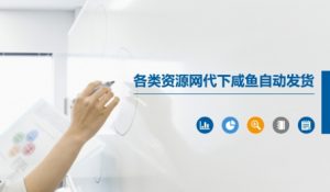 各类资源网代下咸鱼自动发货-知乎者也