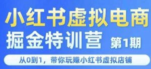 小红书虚拟电商掘金特训营第1期，从0到1，带你玩转小红书虚拟店铺-知乎者也