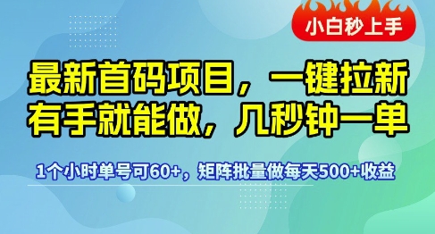 最新首码项目,一键拉新有手就能做,几秒钟一单,1个小时单号可60+,矩阵批量做每天5张【揭秘】-知乎者也