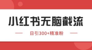小红书截流同行客源,独家野路子获客玩法 日引200+暴力获客【揭秘】-知乎者也