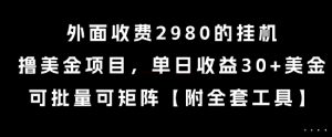 外面收费2980的挂G撸美金项目,单日收益30+美金,可批量可矩阵【揭秘】-知乎者也