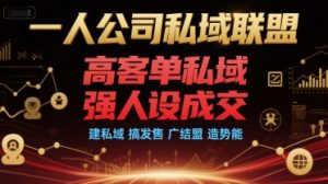 一人公司私域联盟,高客单私域,强人设成交,建私域 搞发售 广结盟 造势能-知乎者也