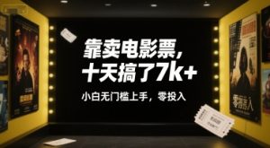靠卖电影票,十天搞了7k+,小白无门槛上手,零投入【揭秘】-知乎者也