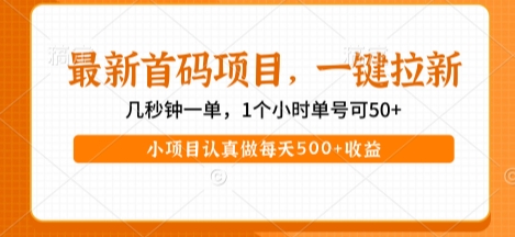 最新首码项目,操作最简单,收益高,一键拉新,1个小时单号可50+,小项目认真做每天5张+收益【揭秘】-知乎者也