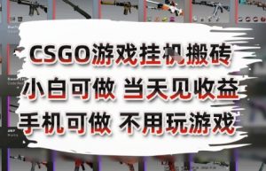 CSGO游戏挂G搬砖，小白纯手机即可操作，不用电脑打游戏，日入3张+，副业网创项目【揭秘】-知乎者也