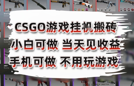 CSGO游戏挂G搬砖，小白纯手机即可操作，不用电脑打游戏，日入3张+，副业网创项目【揭秘】-知乎者也