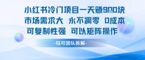 小红书冷门项目一天收益9张，市场需求大，0成本，可复制性强可以矩阵操作-知乎者也