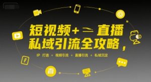 短视频+直播私域引流全攻略,IP打造 +视频引流 +直播引流 +私域沉淀-知乎者也