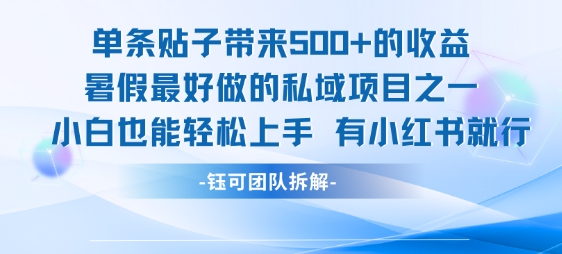 单条贴子带来5张的收益，暑假最好做的私域项目之一，小白也能轻松上手，有小红书就行-知乎者也