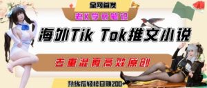 海外tiktok小说推文暴力项目,高停留率,高转化率,上手后一天搞顿饭钱不是问题-知乎者也