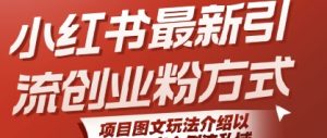 小红书最新引流创业粉方式，项目图文玩法介绍以及如何安全倒流私域-知乎者也