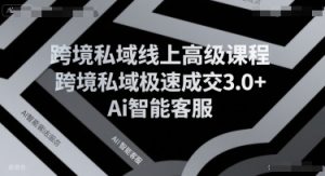 跨境私域线上高级课程,跨境私域极速成交3.0+Ai智能客服-知乎者也