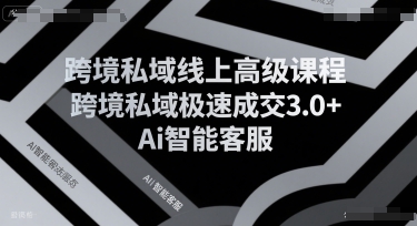 跨境私域线上高级课程,跨境私域极速成交3.0+Ai智能客服-知乎者也