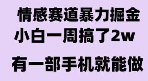 情感暴力掘金项目，新人操作一周挣了2W，长期稳定小白可做【揭秘】-知乎者也