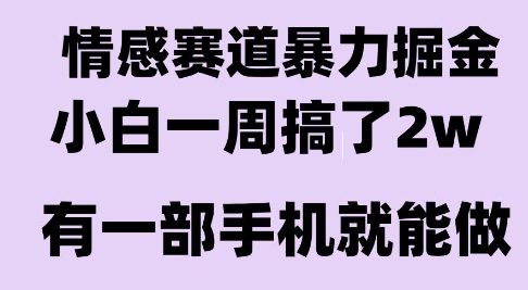 情感暴力掘金项目,新人操作一周挣了2W,长期稳定小白可做【揭秘】-知乎者也