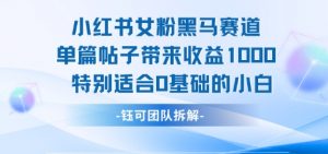小红书女粉黑马赛道单篇帖子带来收益1k+，特别适合0基础的小白-知乎者也