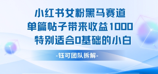 小红书女粉黑马赛道单篇帖子带来收益1k+，特别适合0基础的小白-知乎者也