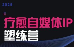 2025治愈自媒体IP训练营,专为疗愈领域从业者打造-知乎者也