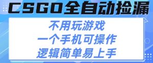 CSGO自动捡漏项目,最新独家玩法,不用挂G不用玩游戏,一个手机即可操作,新手小白轻松月入1W+【揭秘】-知乎者也