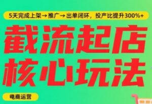 淘宝截流快速起店玩法,掌握暴力快速起店的流程,5天完成上架-推广-出单闭环-知乎者也
