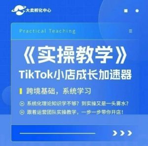 大卖家孵化中心TikTok实操课，TikTok小店成长加速器，跨境基础系统学习，一步一步带你开店-知乎者也