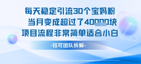 每天稳定引流30个人 当月变成超过了4个W项目流程非常简单适合小白-知乎者也