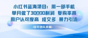 小红书蓝海项目，一部手机单月做了3W利润，小白也能月入过1W用户认可度高成交多-知乎者也