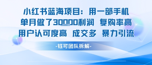 小红书蓝海项目,一部手机单月做了3W利润,小白也能月入过1W用户认可度高成交多-知乎者也