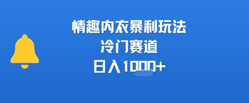 情趣内衣暴利玩法,冷门赛道,日入1k+-知乎者也