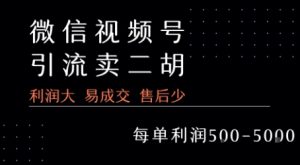 视频号卖二胡教程,利润大 易成交 售后少,一单利润5张+-知乎者也