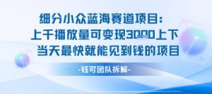 小众蓝海赛道项目:当天变现1k+适合新手操作 +适合长期玩-知乎者也