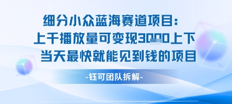 小众蓝海赛道项目：当天变现1k+适合新手操作 +适合长期玩-知乎者也