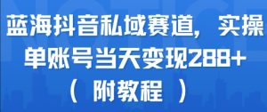 蓝海抖音私域赛道,实操单账号当天变现288+(附教程)-知乎者也
