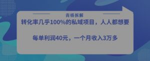 转化率最高的私域项目，每单利润40-50米，月入过1w-知乎者也