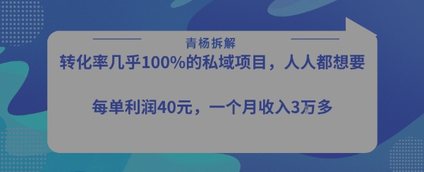 转化率最高的私域项目，每单利润40-50米，月入过1w-知乎者也