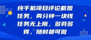纯手机项目评论截图任务,两分钟一块钱 任务无上限多劳多得,随时随地都能做【揭秘】-知乎者也