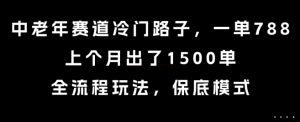 中老年赛道冷门路子，一单788，上个月出了1500单，全流程玩法，保底模式【揭秘】-知乎者也