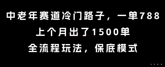 中老年赛道冷门路子，一单788，上个月出了1500单，全流程玩法，保底模式【揭秘】-知乎者也