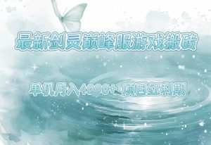 最新剑灵巅峰服游戏搬砖，项目红利期，单机稳定月入4k+操作简单好上手【揭秘】-知乎者也