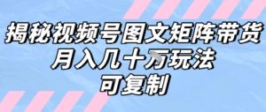 解密视频号图文矩阵带货,月入几个W的打法,可复制-知乎者也