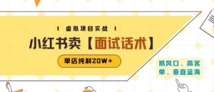 小红书虚拟项目掘金,卖面试话术资料,单店纯利20W+(附爆款笔记制作方法)-知乎者也