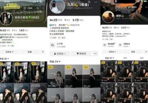抖音图文文案赛道新玩法,快速养号起号,广告收益分成+橱窗带货+教学收徒等-知乎者也
