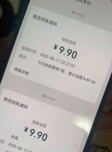 二次元男粉快速变现项目,私域卖虚拟产品,百分利润-知乎者也