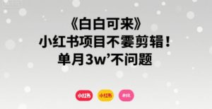 小白可来 小红书项目不需要剪辑 单月3w不是问题-知乎者也