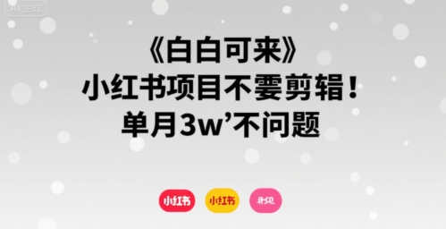 小白可来 小红书项目不需要剪辑 单月3w不是问题-知乎者也