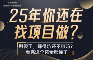 25年，你还在疯狂的找项目吗？别傻了，看完这个你都懂了【揭秘】-知乎者也