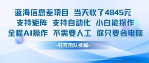 蓝海信息差项目当天收米1k+ 支持矩阵支持自动化小白能操作全程AI操作不需要人工你只要会电脑-知乎者也