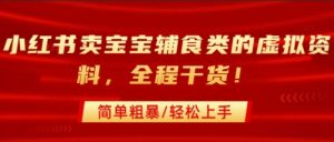 小红书卖宝宝辅食类的虚拟资料，从引流到私域变现，全程干货，简单粗暴，轻松上手-知乎者也