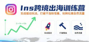 Ins跨境出海训练营,实战驱动玩法,打破不涨粉怪象,玩转社媒自然流量-知乎者也